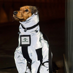 Reflective All-weather Waterproof Space Coat Dog Rain Coat