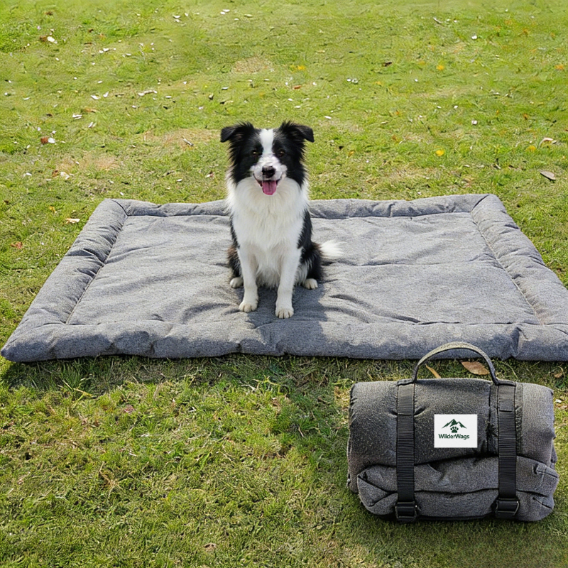 Outdoor Utility Style Waterproof Foldable Pet Mat for Car and Camping